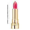 DG TOO LUMINOUS COLOR LIPSTICK MILLENNIAL PK 270 3.5G