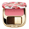 DG BLUSH OF ROSES LUMINOUS CHEEK COLOUR PROVOCATIVE 200 5G