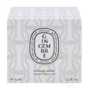 GINGER DIFFUSER-REFILL