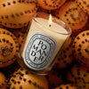 SCENTED CANDLE POMANDER