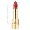 DG TOO LUMINOUS COLOR LIPSTICK SPICY TOUCH 670 3.5G