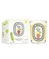 Summer 2023 Bougie Citronnelle 190g