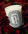 SCENTED CANDLE GERANIUM ROSA