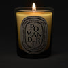 SCENTED CANDLE POMANDER